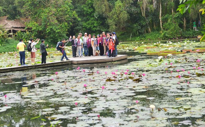 'Du lịch trách nhiệm' với nông dân Đồng Tháp - ảnh 2