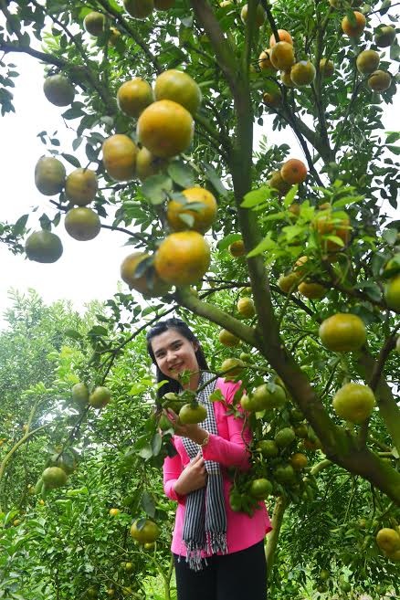 'Du lịch trách nhiệm' với nông dân Đồng Tháp - ảnh 1