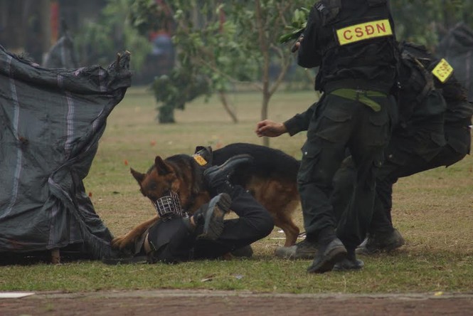 Hàng trăm đặc nhiệm nổ súng, khống chế tội phạm - ảnh 12