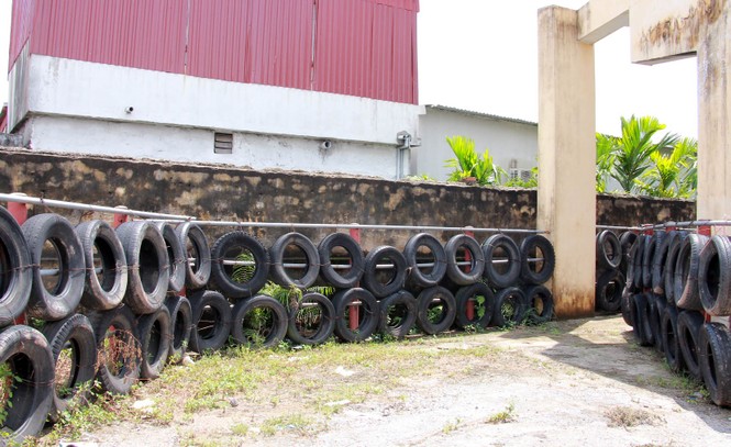 Thắt chặt an toàn sau vụ trâu chọi Đồ Sơn húc chết chủ - ảnh 3
