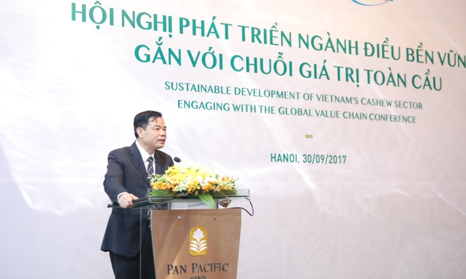 ‘Gỡ rối’ ngành điều Việt Nam và tham vọng 3 tỷ USD - ảnh 1