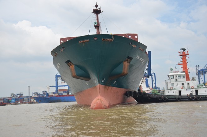 Hai tàu container tông nhau trên sông Đồng Nai - ảnh 1