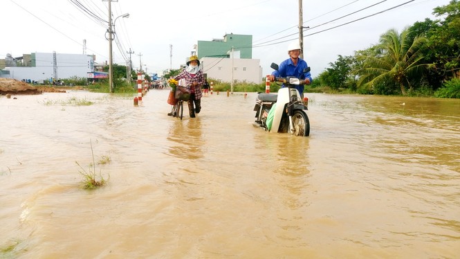Đường phố Bình Định chìm trong nước lũ, hàng ngàn học sinh nghỉ học - ảnh 3