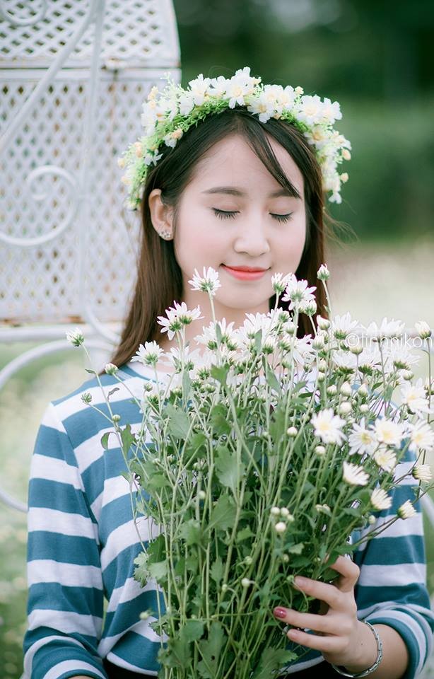 Mê mẩn ngắm thiếu nữ Hà thành khoe sắc bên cúc họa mi - ảnh 12