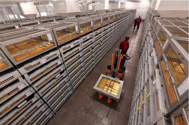 Bên trong kho vàng 1.800 tấn của Nga - ảnh 2