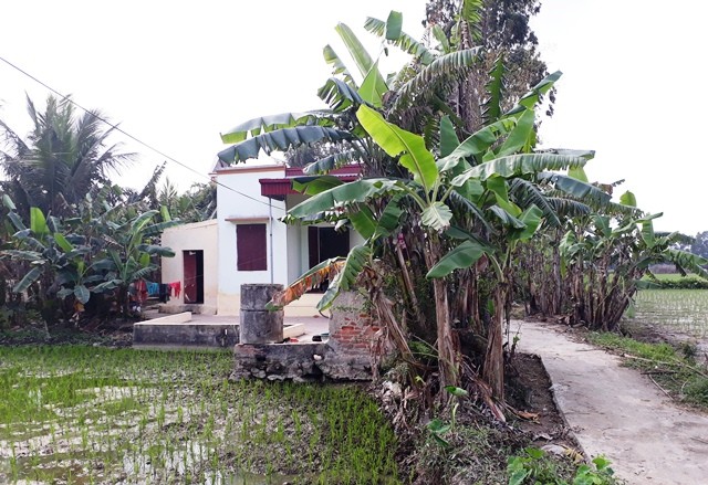Mẹ Châu Việt Cường lên tiếng - ảnh 1