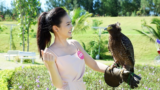 Người đẹp HHVN thử cảm giác mạnh với thú cưng 'khủng' - ảnh 7