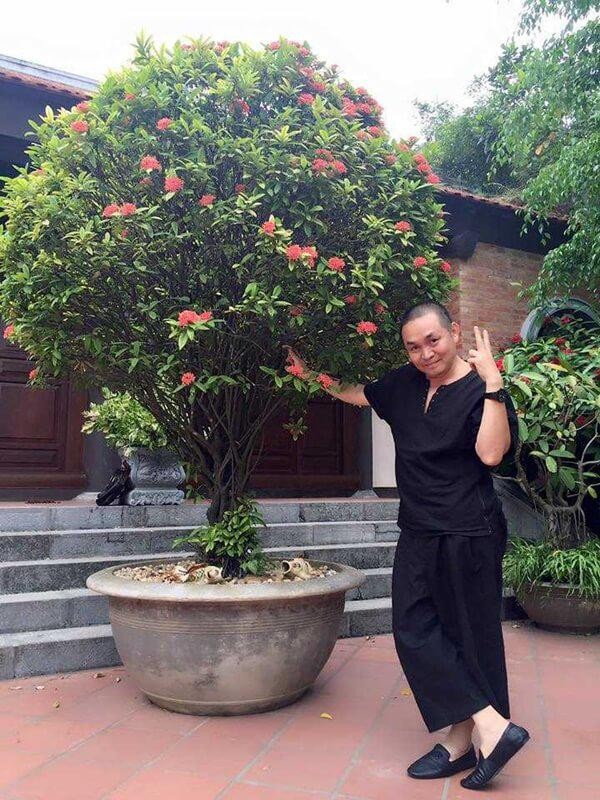 Cận cảnh nhà gỗ bạc tỷ của 'vua hài đất Bắc' Xuân Hinh - ảnh 3