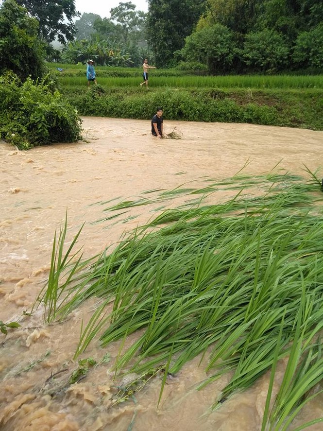 Ngập lụt nghiêm trọng nhiều nơi ở Lạng Sơn - ảnh 2