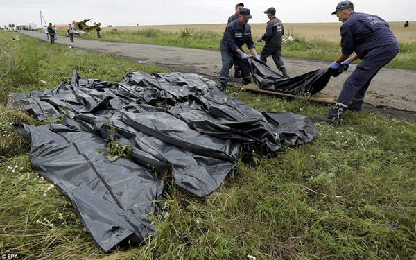 Đã tìm thấy 272 thi thể nạn nhân trong vụ MH17 - ảnh 1
