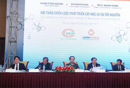20.000 tỷ đồng đưa Việt Nam đứng đầu về trồng mắc ca - ảnh 1