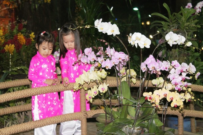 Người Sài Gòn hào hứng đi Hội hoa xuân - ảnh 12