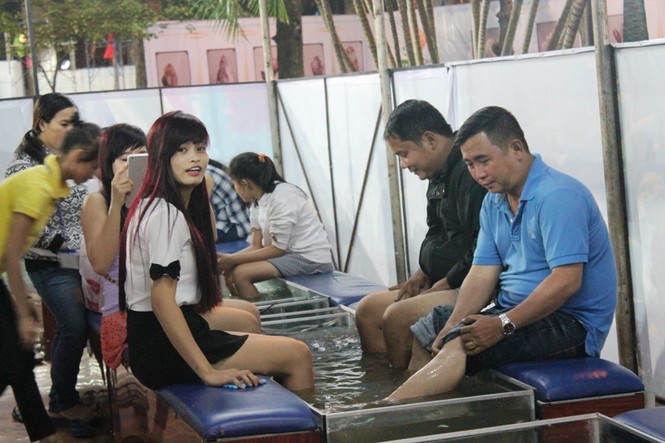 Người Sài Gòn hào hứng đi Hội hoa xuân - ảnh 13