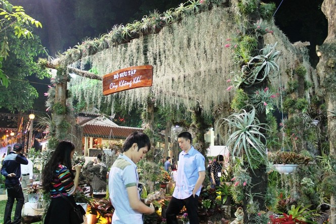 Người Sài Gòn hào hứng đi Hội hoa xuân - ảnh 7