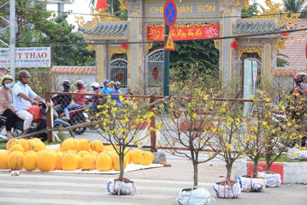 Dưa chưng tết hình dê đợi khách - ảnh 15