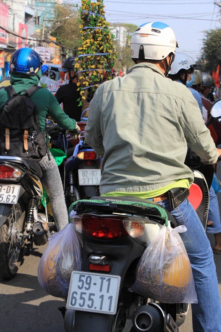 Dưa chưng tết hình dê đợi khách - ảnh 17