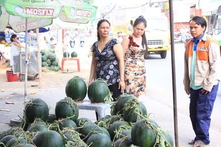 Dưa chưng tết hình dê đợi khách - ảnh 2