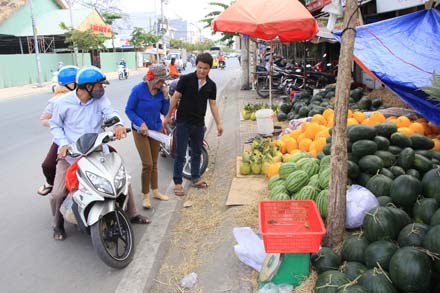 Dưa chưng tết hình dê đợi khách - ảnh 3