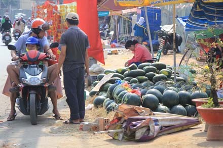 Dưa chưng tết hình dê đợi khách - ảnh 4