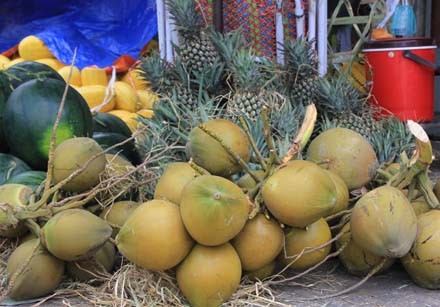 Dưa chưng tết hình dê đợi khách - ảnh 6