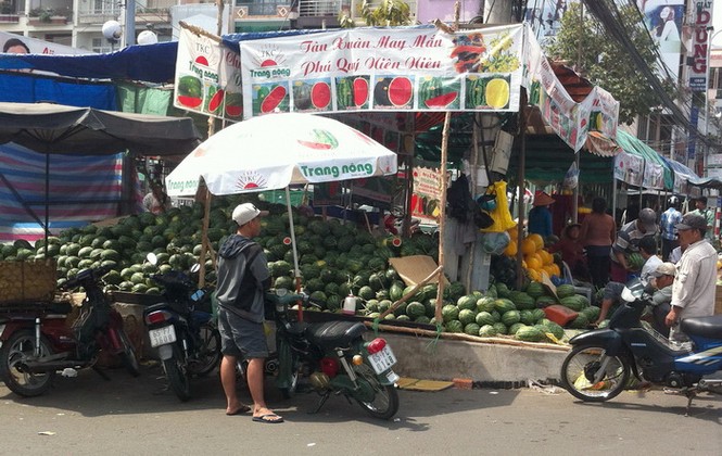 Cần Thơ: Hoa, dưa tràn phố và vườn giá bèo ít người mua - ảnh 4