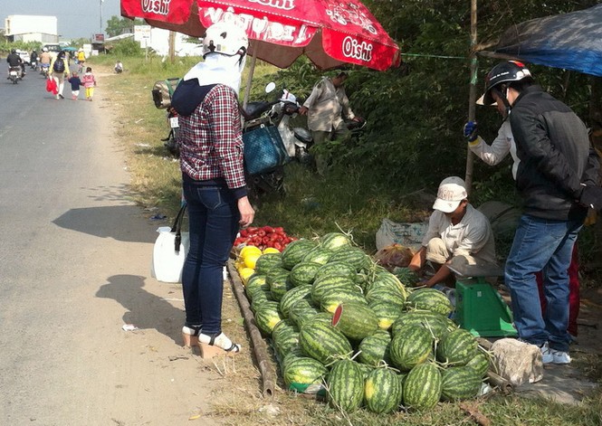 Cần Thơ: Hoa, dưa tràn phố và vườn giá bèo ít người mua - ảnh 9