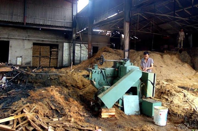 Xưởng gỗ 6.700m2 bốc cháy ngùn ngụt trong đêm - ảnh 1