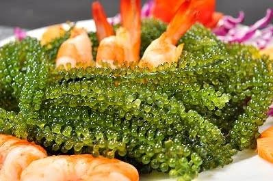 Được săn đón, rong nho miền Nam đi máy bay ra Hà Nội - ảnh 1