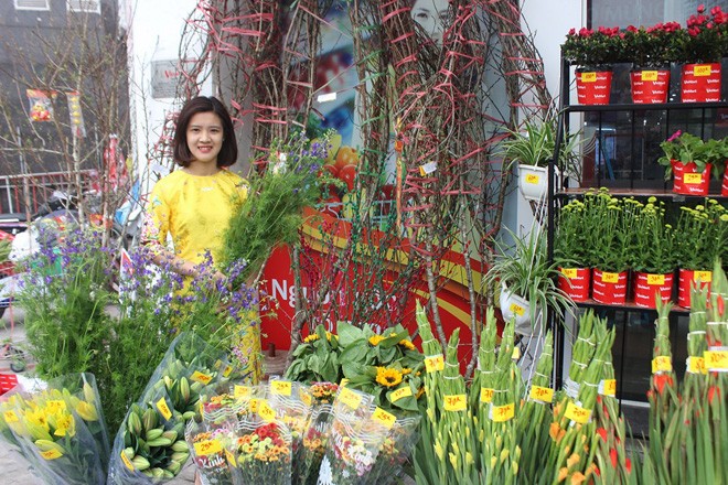Ngắm 'rừng' hoa tết rực rỡ trong siêu thị - ảnh 7