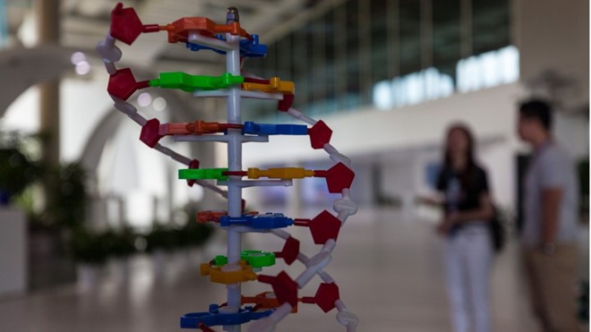 Phụ huynh phải nộp xét nghiệm DNA của con để ngăn 'chạy' trường - ảnh 1