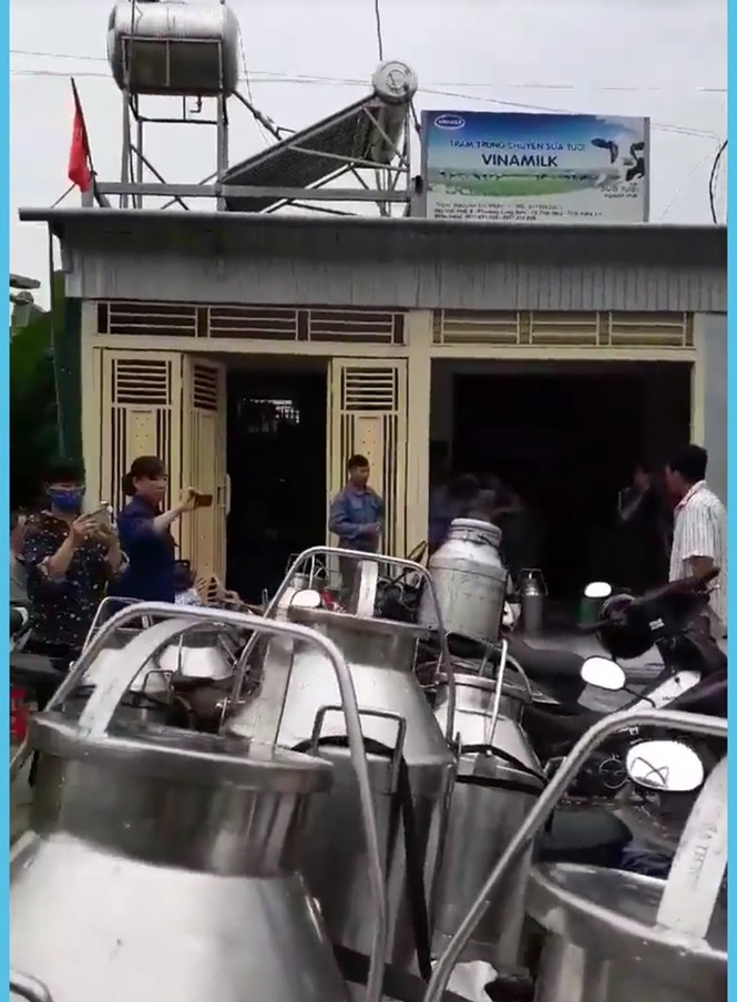 Nghệ An: Nông dân bức xúc đổ sữa tươi trắng xóa cả sân - ảnh 3