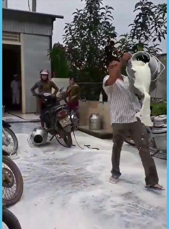 Nghệ An: Nông dân bức xúc đổ sữa tươi trắng xóa cả sân - ảnh 1