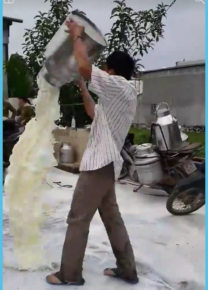 Nghệ An: Nông dân bức xúc đổ sữa tươi trắng xóa cả sân - ảnh 2