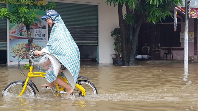 Người dân Nghệ An bỏ ô tô đi xe đạp vì đường ngập sâu trong nước - ảnh 6