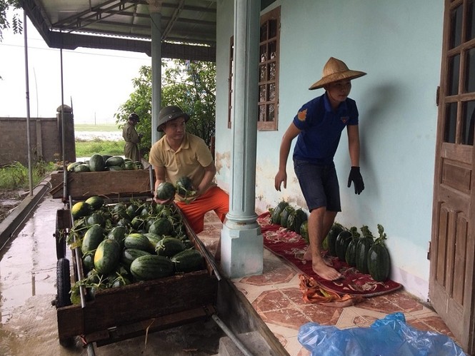 Thanh niên đội mưa giúp dân