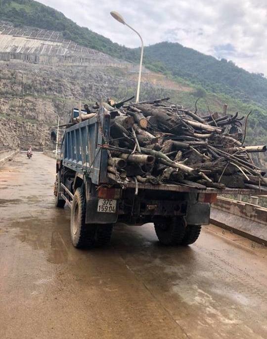 Nhà máy thủy điện Bản Vẽ chấp thuận dọn rác trên lòng hồ - ảnh 1