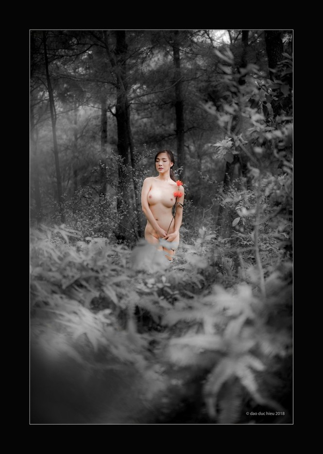 Lộ diện một số ảnh nude nghệ thuật đầu tiên ở Hà Nội - ảnh 6
