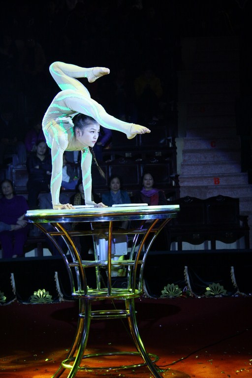 Diễu hành xiếc ở phố đi bộ Hồ Gươm - ảnh 2