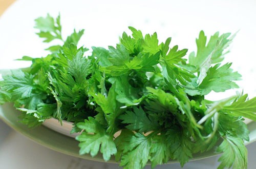 Thảo mộc ngừa say rượu bia ngày Tết - ảnh 5