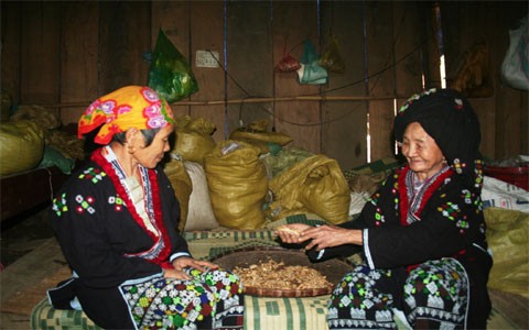 Cụ già chữa bệnh vô sinh giỏi nhất xứ Mường - ảnh 2