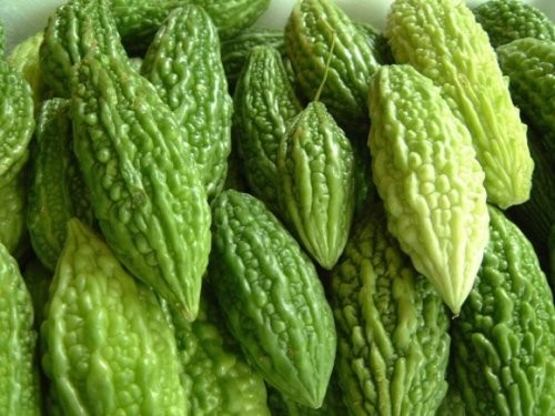 Thực phẩm vị đắng và chát có tác dụng gì? - ảnh 1