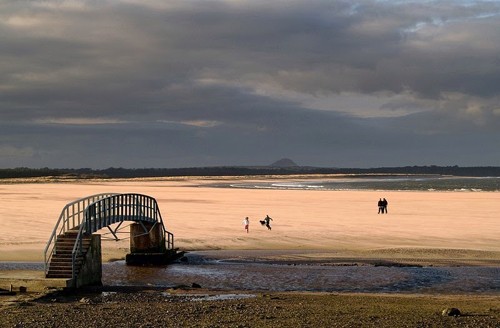 Cây cầu xuống gặp 'long vương' ở Scotland - ảnh 2