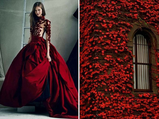 ‘Sững sờ’ những bộ váy tuyệt đẹp lấy cảm hứng từ thiên nhiên - ảnh 4