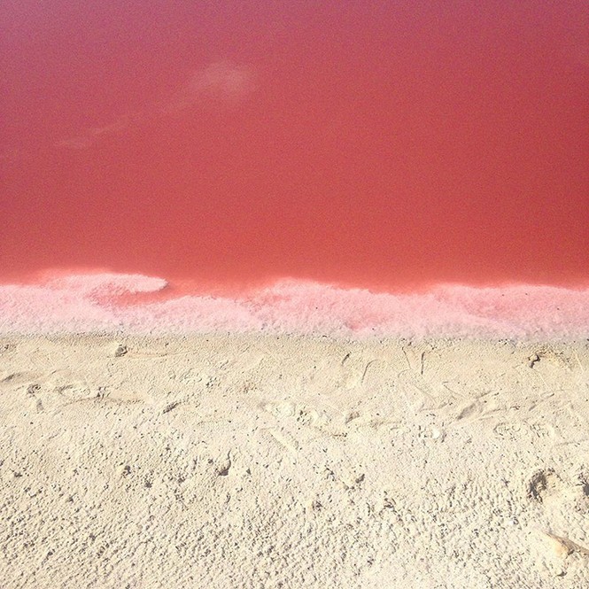 Las Coloradas - ảnh 4