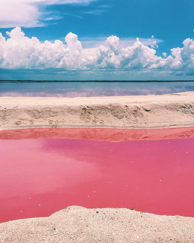 Las Coloradas - ảnh 2