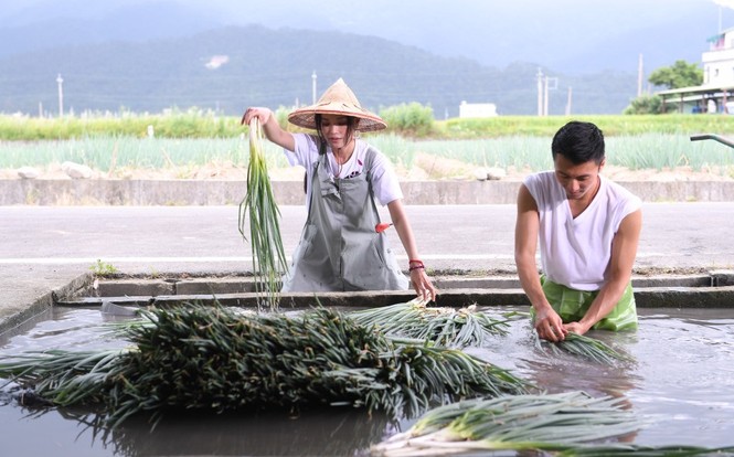 Thư Kỳ - Tạ Đình Phong xắn tay áo… làm nông dân - ảnh 2