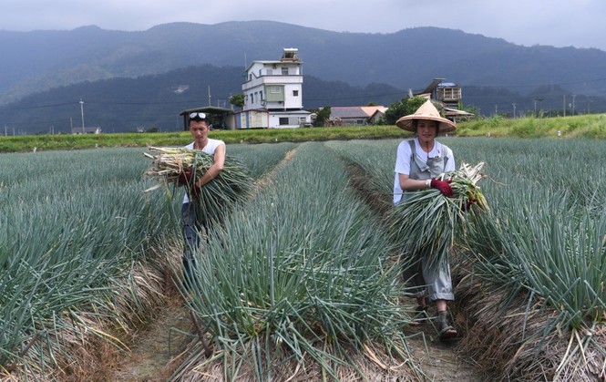 Thư Kỳ - Tạ Đình Phong xắn tay áo… làm nông dân - ảnh 4