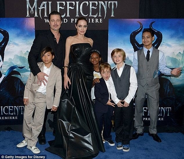 Angelina Jolie, Brad Pitt - ảnh 10