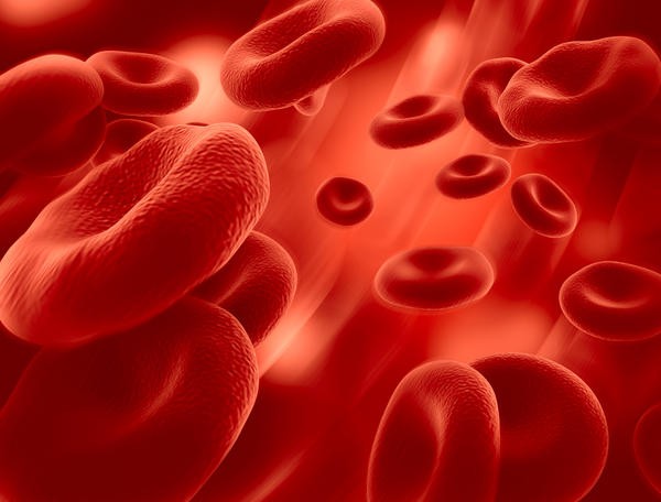 hội chứng tan máu bẩm sinh, Thalassemia - ảnh 1