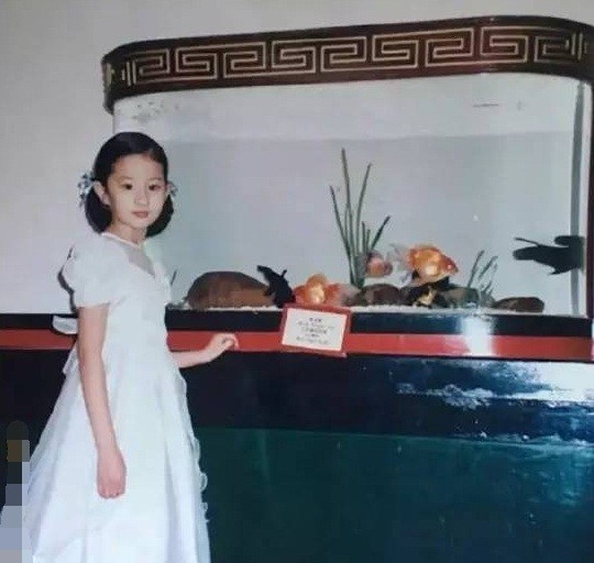 Loạt ảnh chứng minh Lưu Diệc Phi xinh đẹp từ tấm bé - ảnh 4